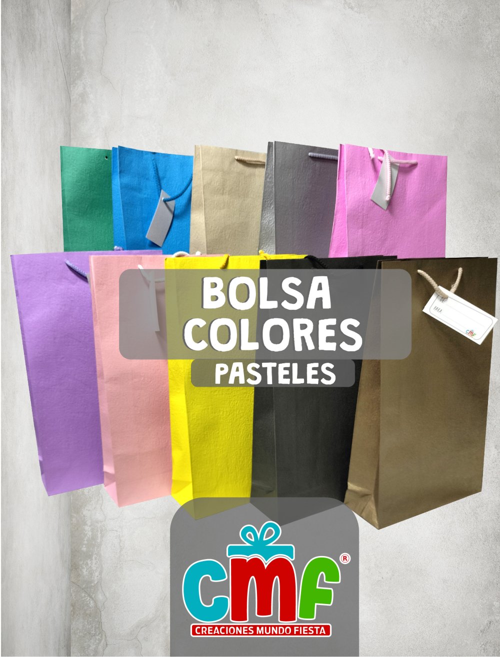 BOLSA REGALO COLOR GRANDE X10